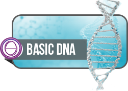 Basic DNA ThetaHealing® – 3-Day Seminar